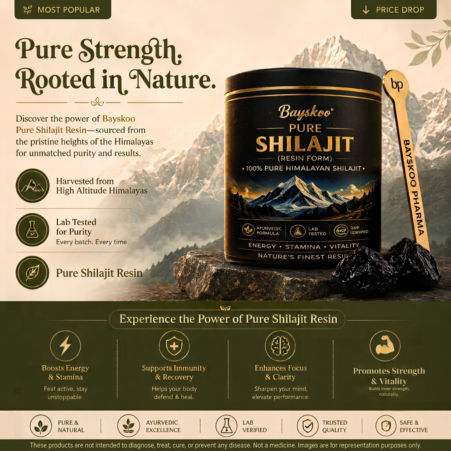 Bayskoo Pure Himalayan Shilajit Resin | 68% Fulvic Acid