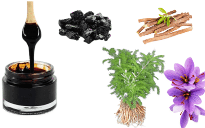 शिलाजीत, अश्वगंधा, केसर और शतावरी: पुरुषों की शक्ति और जीवनशक्ति का संपूर्ण मार्गदर्शक (Ayurveda Ka Rasayana Shilp)